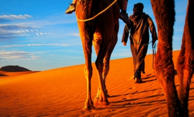 All Over Morocco Tours All Over Morocco Tours