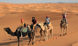 private 3 days tour from Marrakech To desert and Fes,Morocco desert tour from Fes to Marrakech private 3 days tour from Marrakech To desert and Fes,Morocco desert tour from Fes to Marrakech